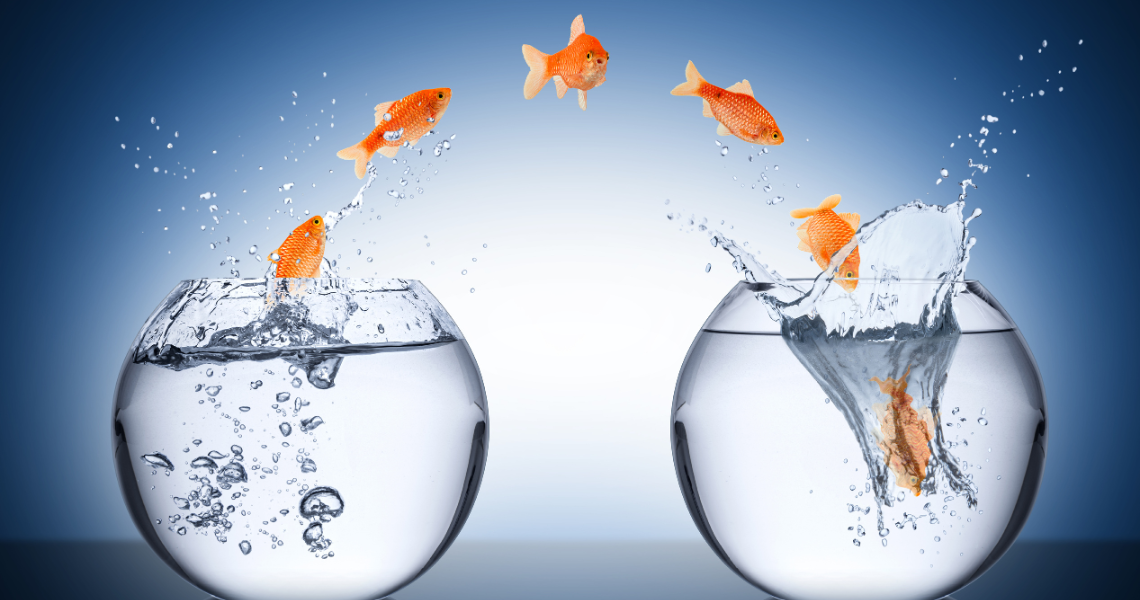 Navigating Change Together: Tips for Managing a Team Through Transitions